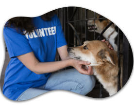Barket Cares volunteers with rescued pets
