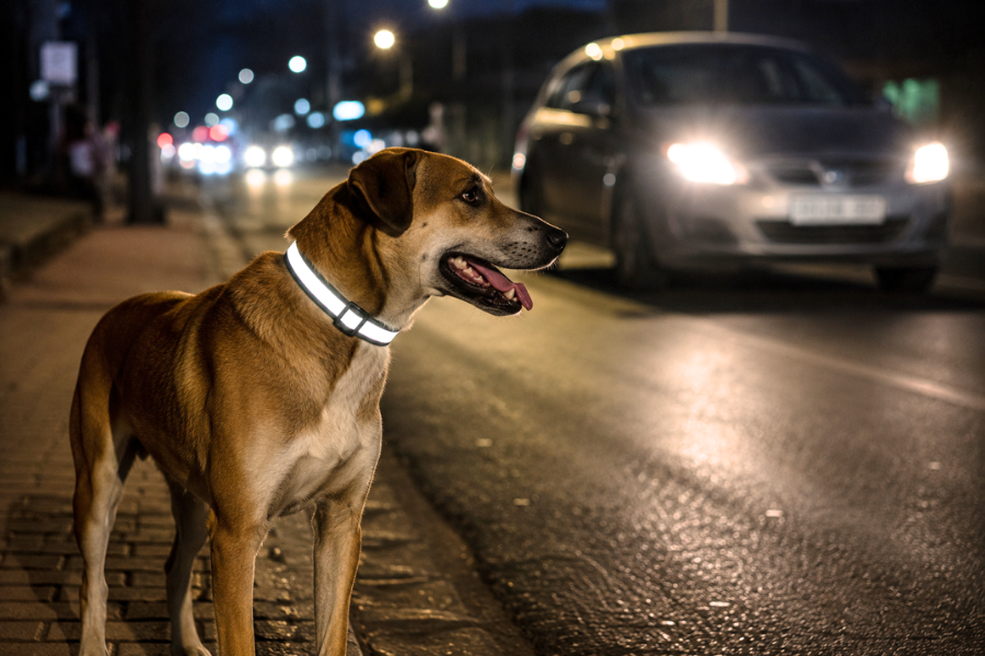 Reflective collar drives