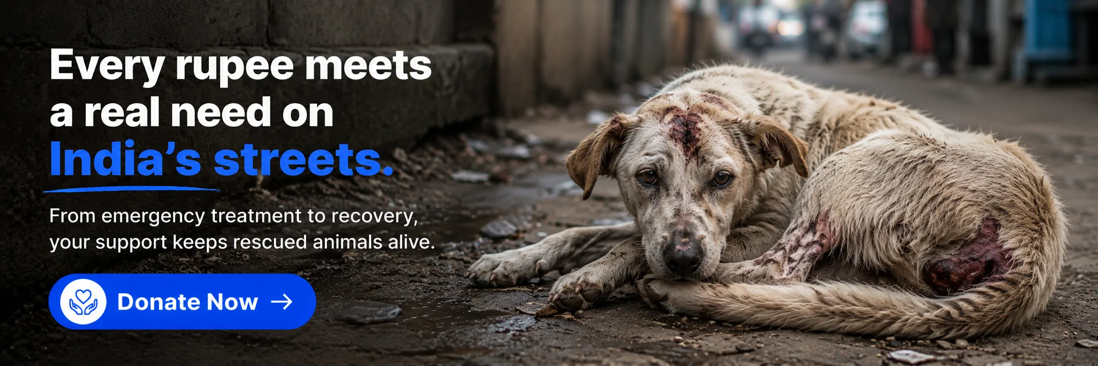 Every rupee meets a real need on India's streets — donate to support recovery