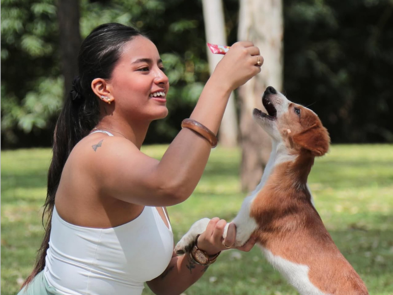 Family adopting a dog