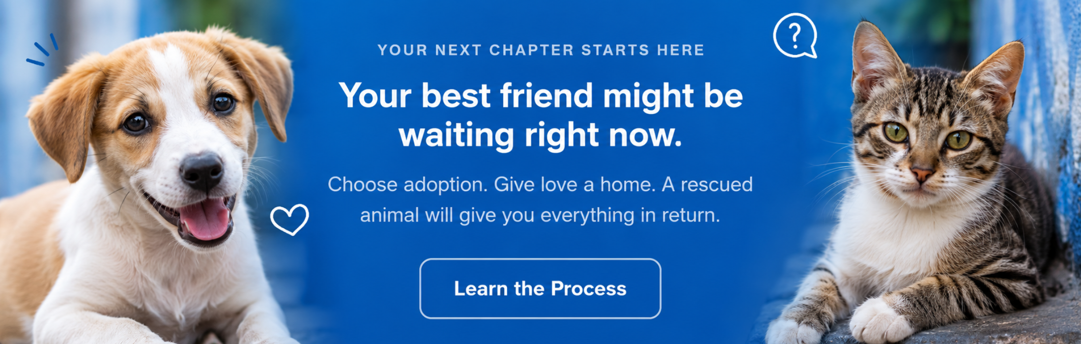 Your best friend might be waiting right now — Learn the Adoption Process