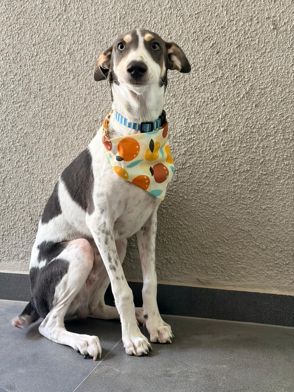 Coco