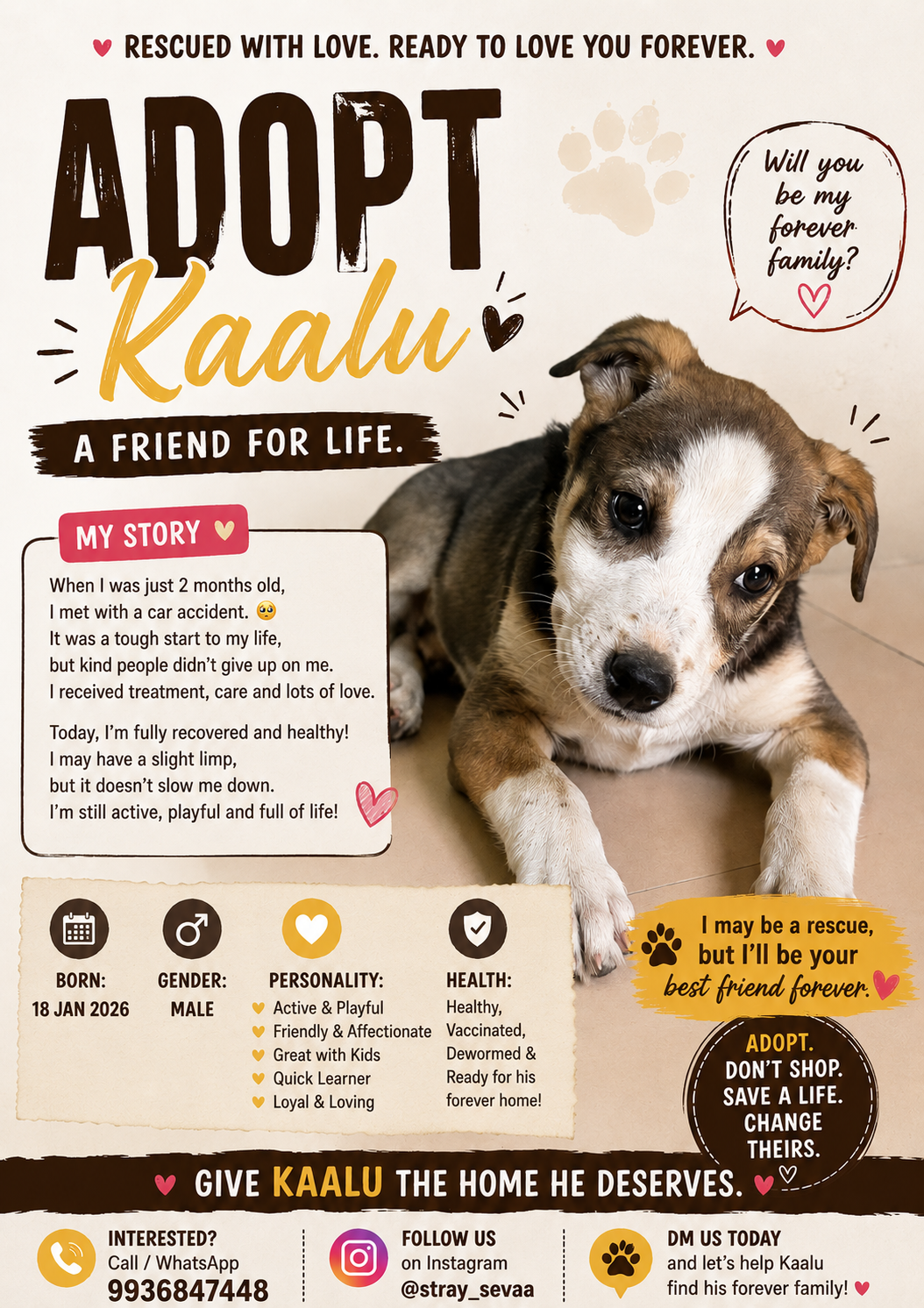 Kaalu