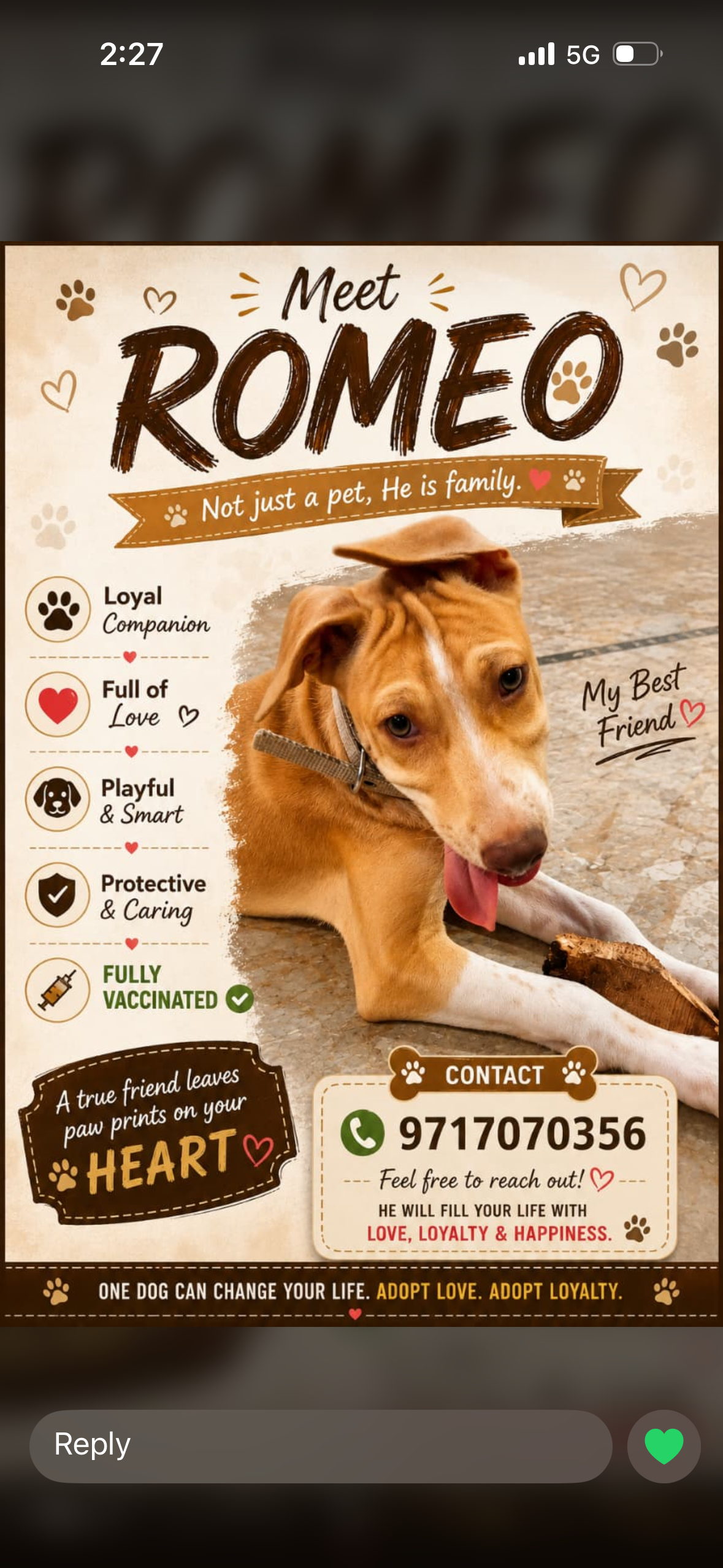 Romeo