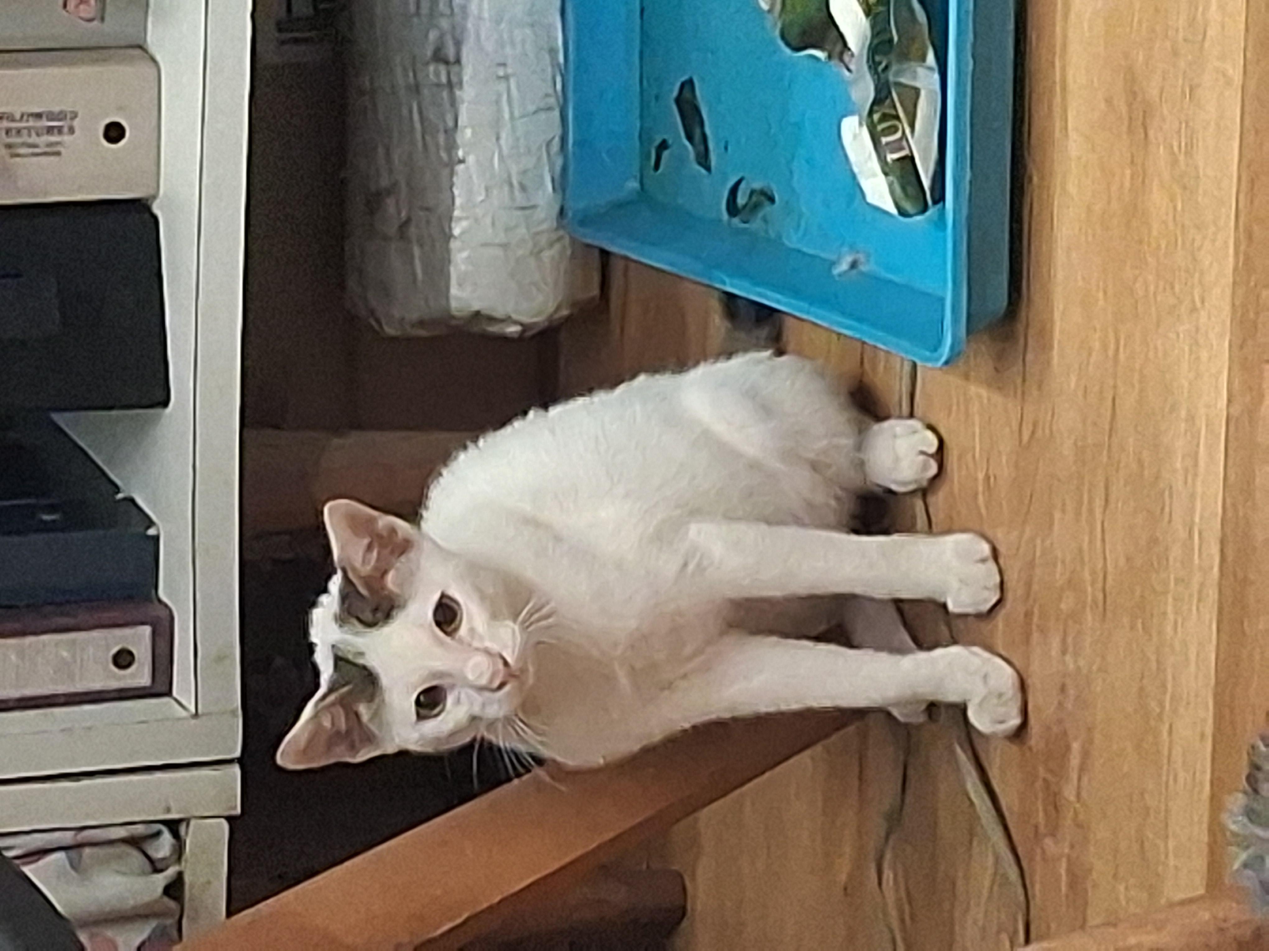 Jerry