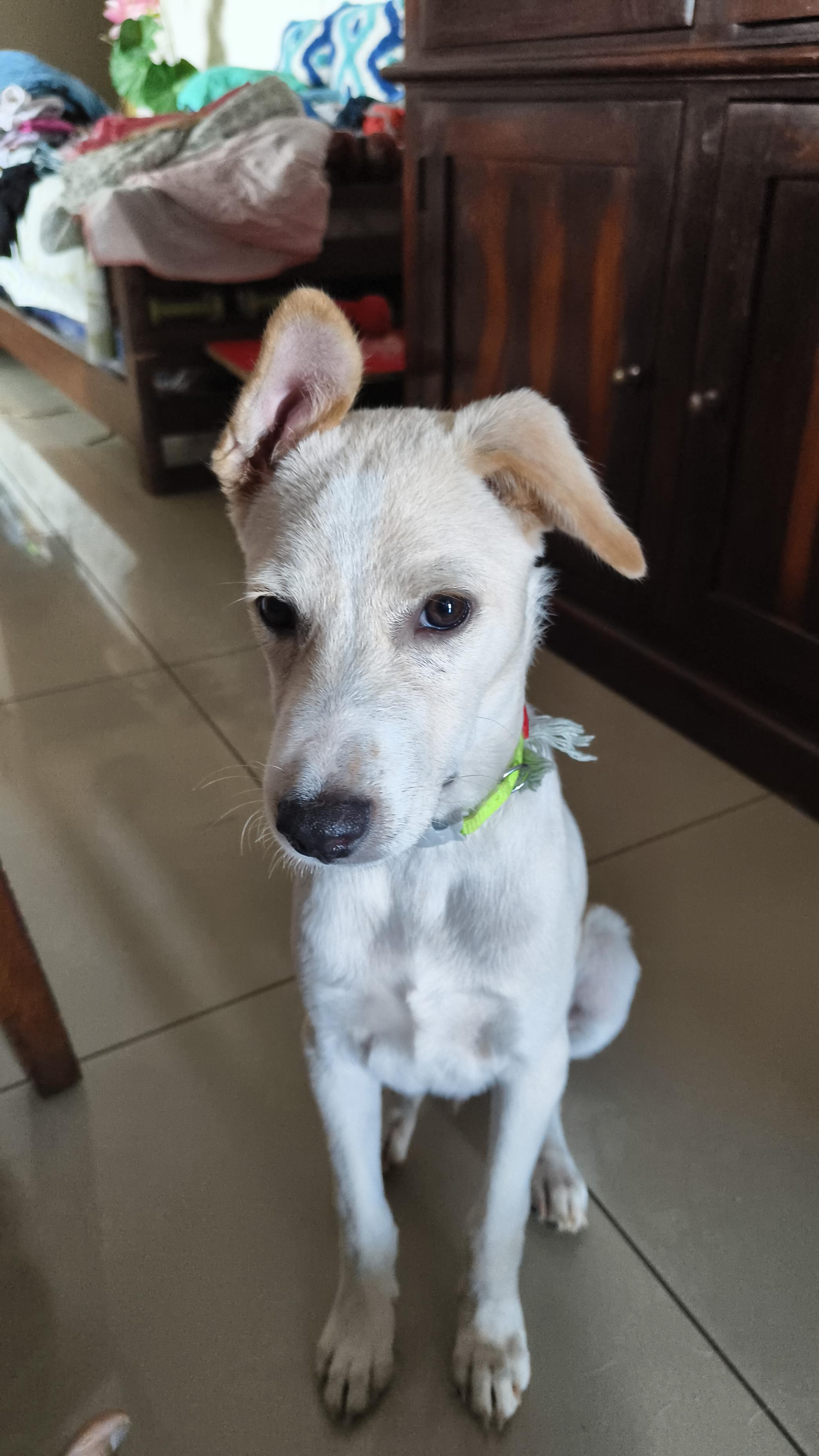 Coco