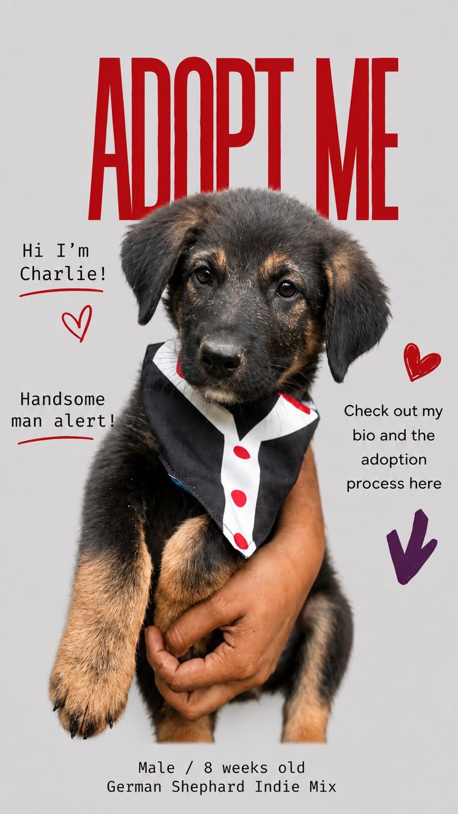 Charlie
