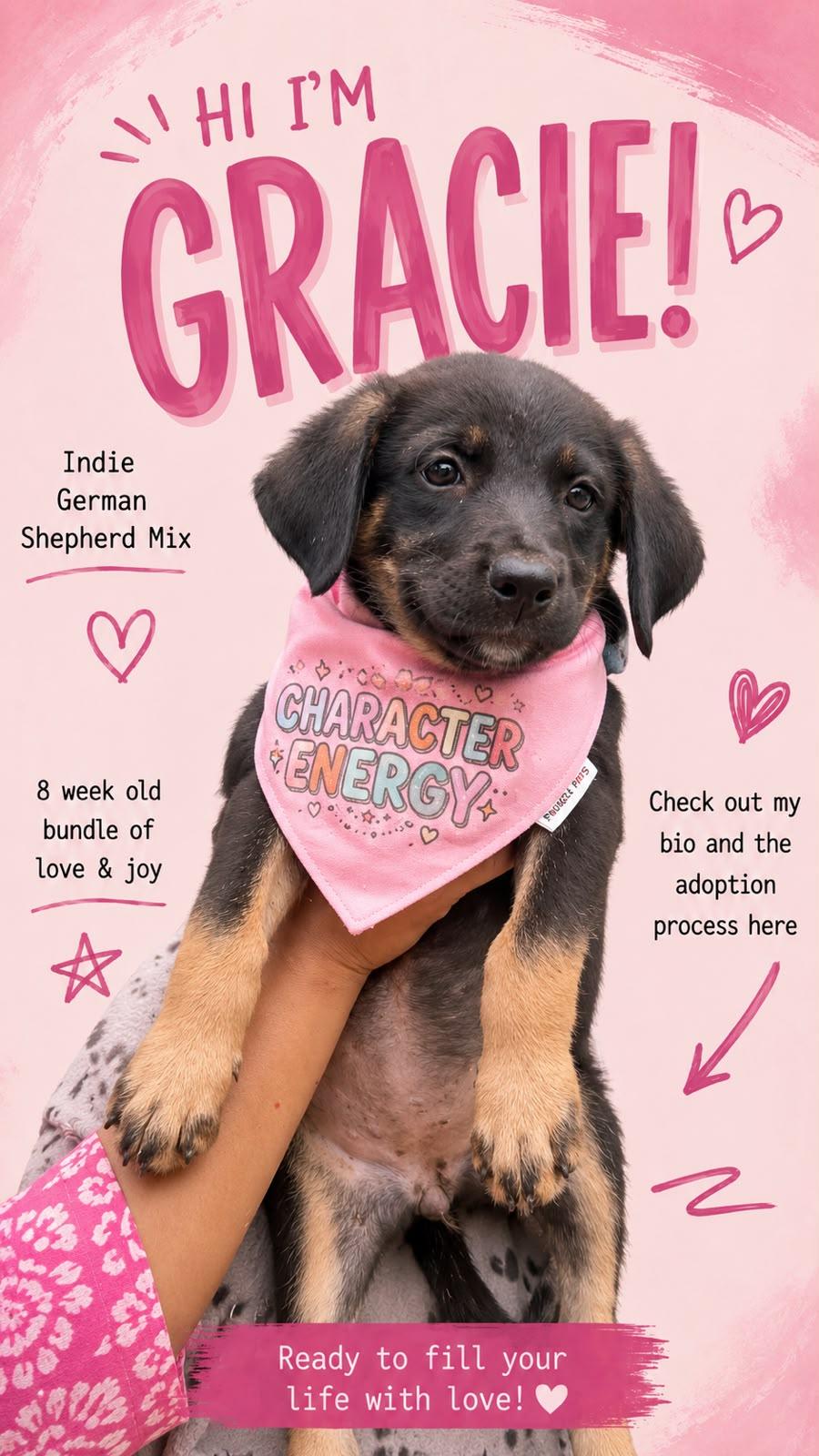 Gracie