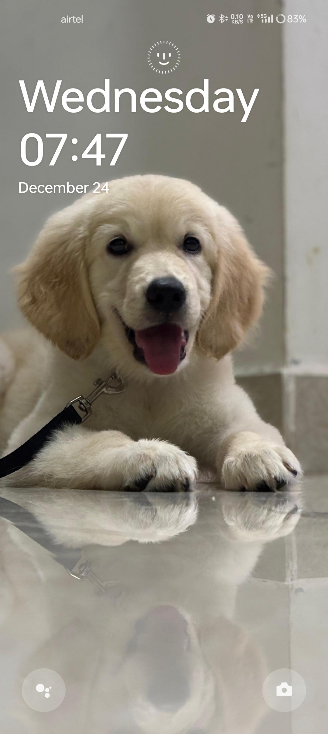 Happie